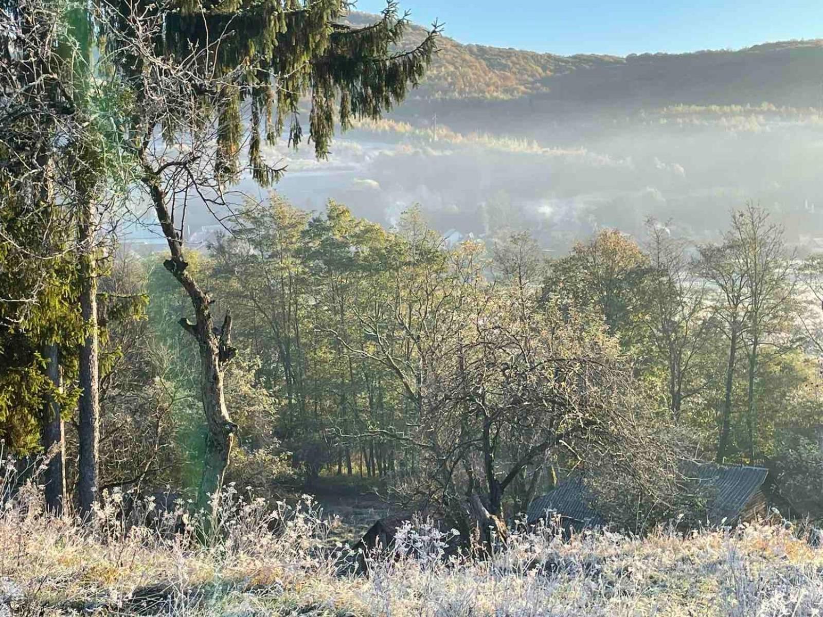 Приватна Садиба Дикий Мед Ploskoye Dış mekan fotoğraf